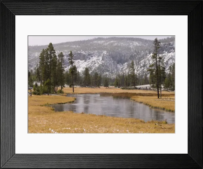 Framed Print : SP022149. Elk, Firehole River, Yellowstone National Park Framed Print : SP022149. Elk, Firehole River, Yellowstone National Park
