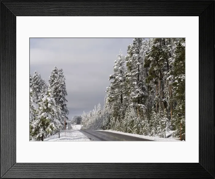 Framed Print : SP022301. Yellowstone National Park in winter Framed Print : SP022301. Yellowstone National Park in winter