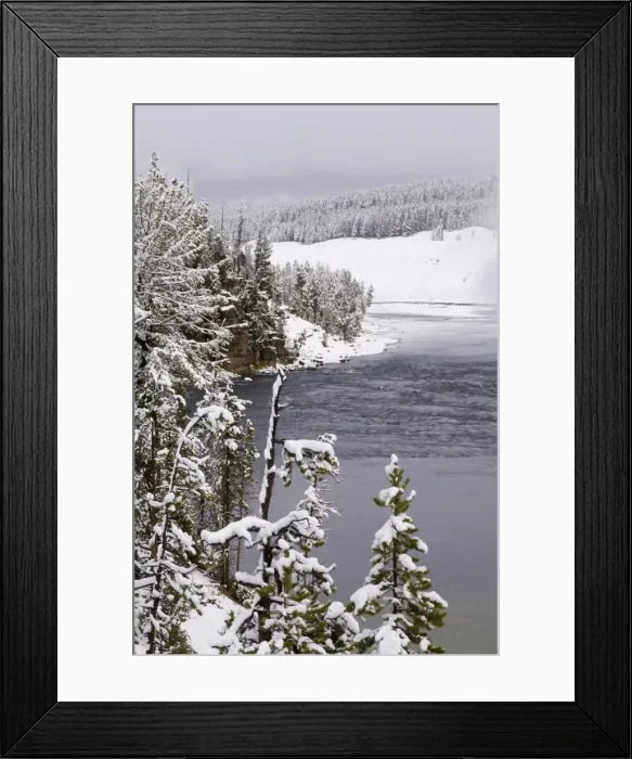 Framed Print : SP022331. Yellowstone River in winter, Yellowstone National Park Framed Print : SP022331. Yellowstone River in winter, Yellowstone National Park