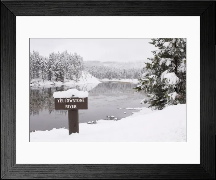 Framed Print : SP022362. Yellowstone River, Yellowstone National Park Framed Print : SP022362. Yellowstone River, Yellowstone National Park