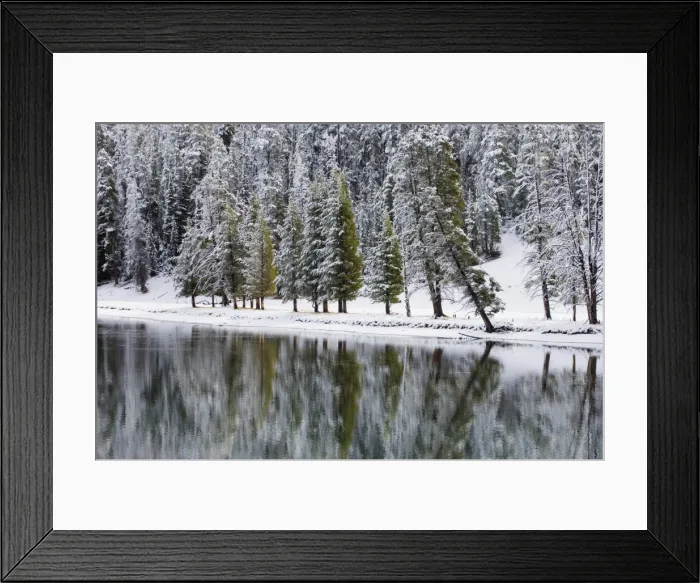 Framed Print : SP022315. Yellowstone River in winter, Yellowstone National Park Framed Print : SP022315. Yellowstone River in winter, Yellowstone National Park