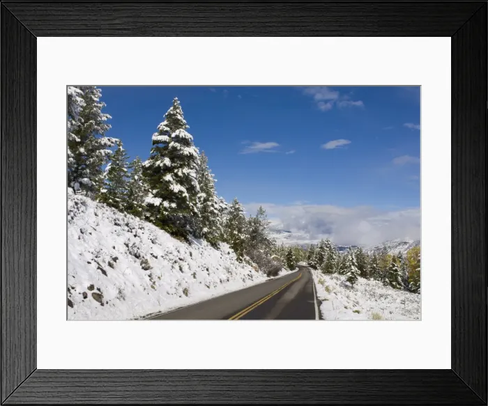 Framed Print : SP022427. Yellowstone National Park, UNESCO World Heritage Site Framed Print : SP022427. Yellowstone National Park, UNESCO World Heritage Site
