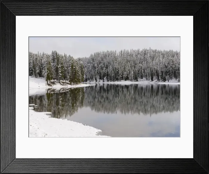 Framed Print : SP022316. Yellowstone River in winter, Yellowstone National Park Framed Print : SP022316. Yellowstone River in winter, Yellowstone National Park