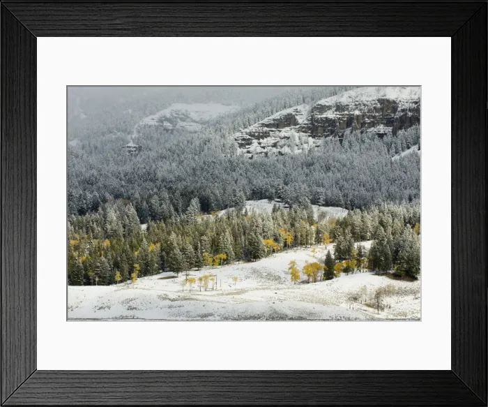 Framed Print : SP022461. Lamar Valley, Yellowstone National Park Framed Print : SP022461. Lamar Valley, Yellowstone National Park