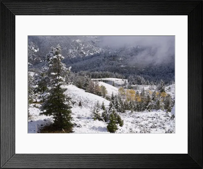 Framed Print : SP022425. Yellowstone National Park, UNESCO World Heritage Site Framed Print : SP022425. Yellowstone National Park, UNESCO World Heritage Site