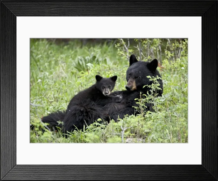 Framed Print : 27414_work Framed Print : 27414_work