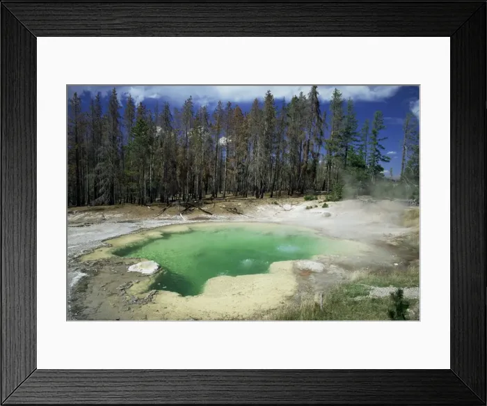 Framed Print : Emerald Spring Framed Print : Emerald Spring