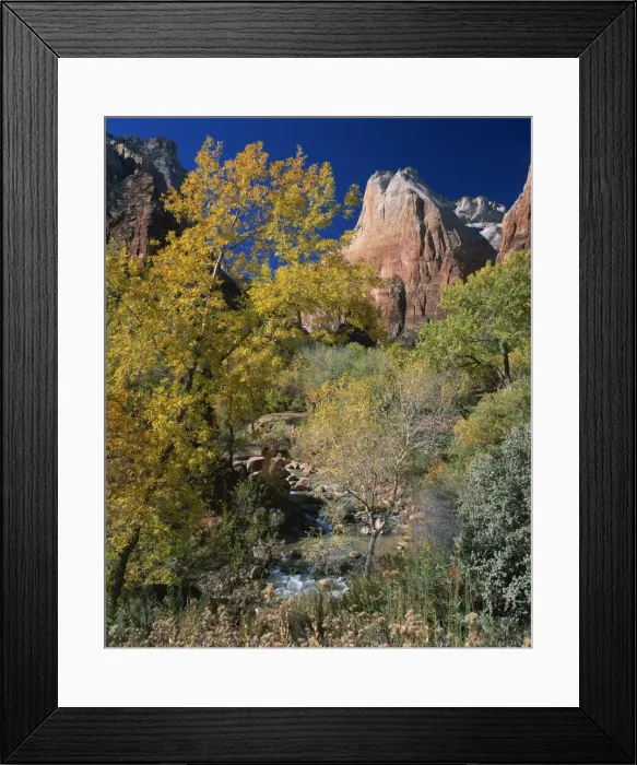 Framed Print : Trees in fall colours beneath peaks in the Court of Framed Print : Trees in fall colours beneath peaks in the Court of