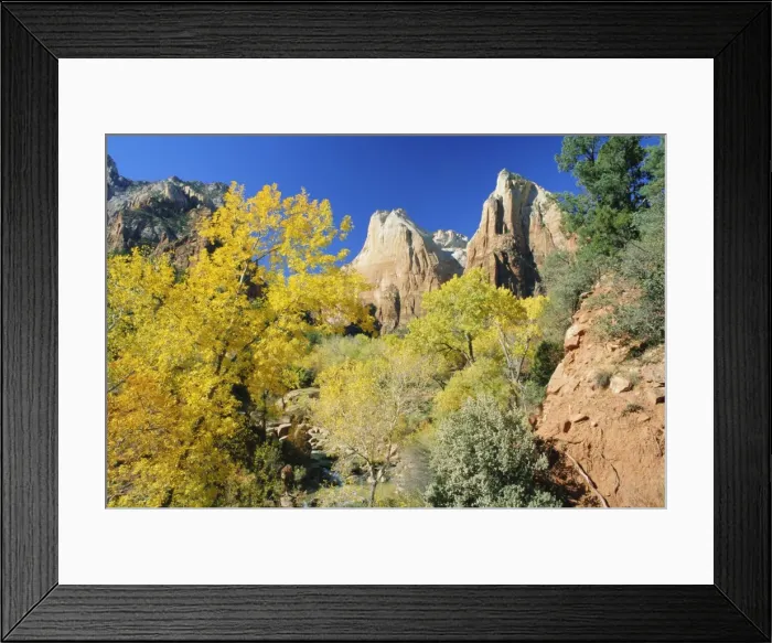 Framed Print : Autumn colours in the Court of the Patriarchs Framed Print : Autumn colours in the Court of the Patriarchs