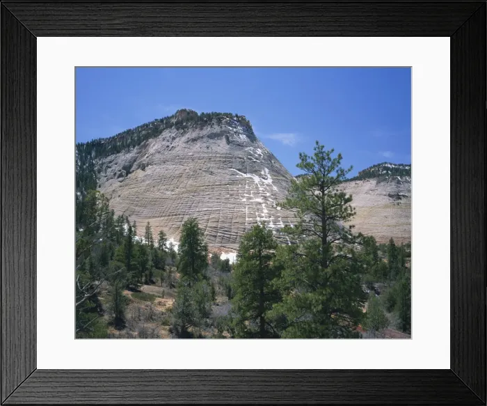 Framed Print : Checkerboard Mesa in the Zion National Park in Utah Framed Print : Checkerboard Mesa in the Zion National Park in Utah
