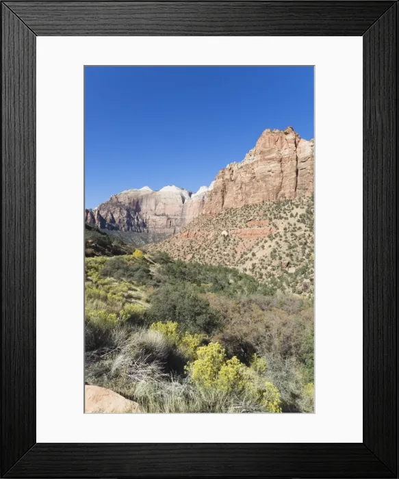 Framed Print : _TUW7340. Zion National Park, Utah, United States of America, North America Framed Print : _TUW7340. Zion National Park, Utah, United States of America, North America