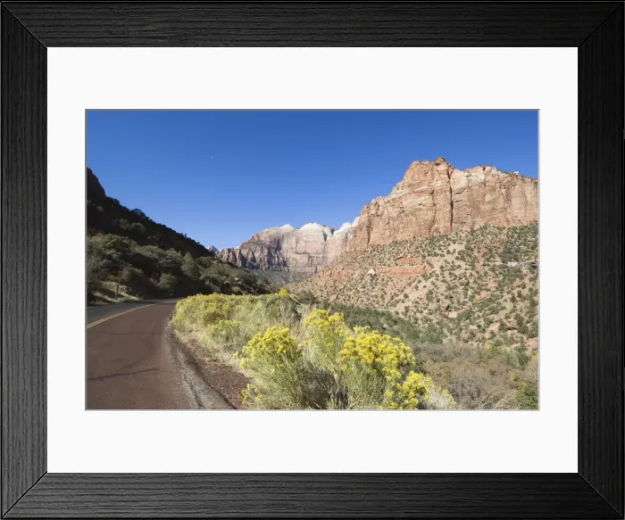 Framed Print : _TUW7337. Zion National Park, Utah, United States of America, North America Framed Print : _TUW7337. Zion National Park, Utah, United States of America, North America