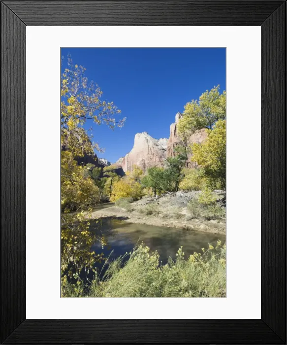 Framed Print : _TUW7324. Zion National Park, Utah, United States of America, North America Framed Print : _TUW7324. Zion National Park, Utah, United States of America, North America