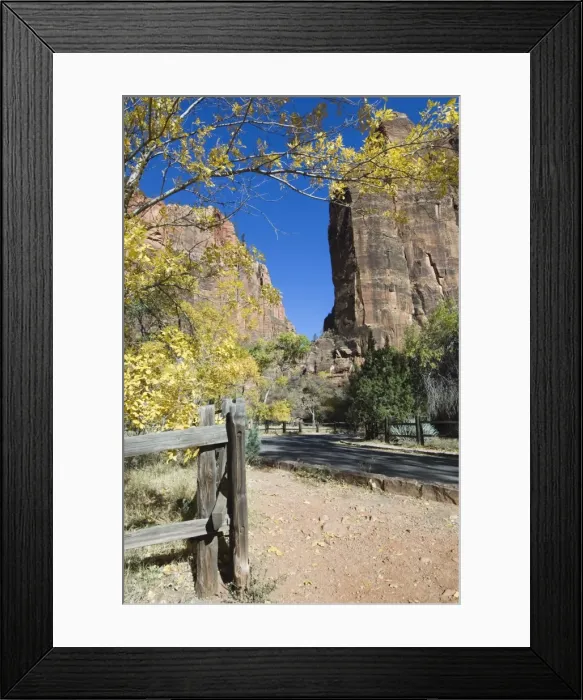 Framed Print : _TUW7258. Zion National Park, Utah, United States of America, North America Framed Print : _TUW7258. Zion National Park, Utah, United States of America, North America
