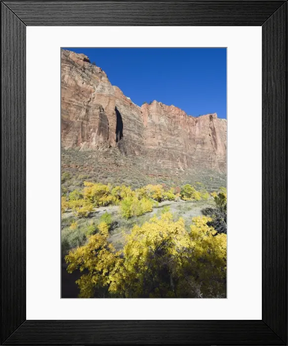 Framed Print : _TUW7211. Zion National Park, Utah, United States of America, North America Framed Print : _TUW7211. Zion National Park, Utah, United States of America, North America