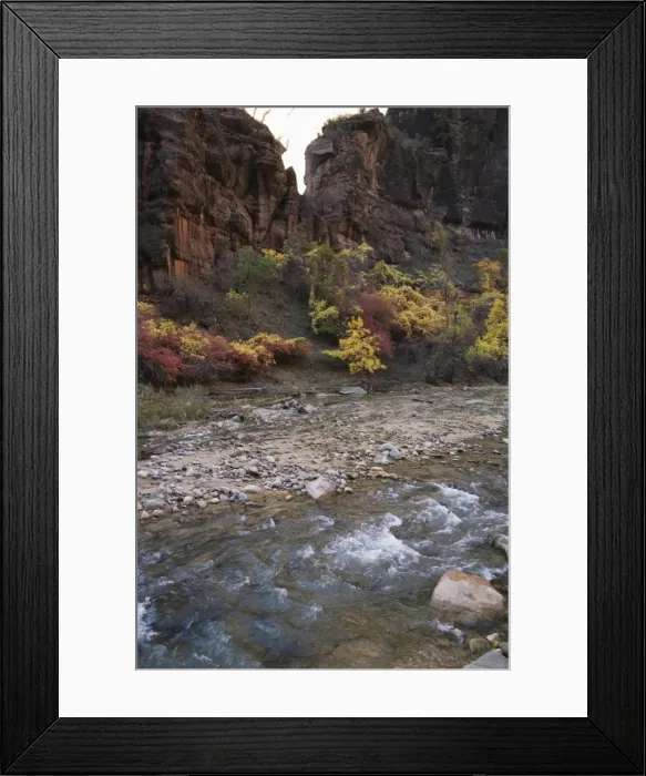 Framed Print : _TUW7198. Zion National Park, Utah, United States of America, North America Framed Print : _TUW7198. Zion National Park, Utah, United States of America, North America