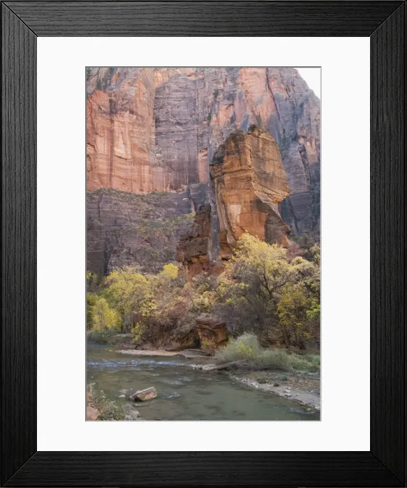Framed Print : _TUW7196. Zion National Park, Utah, United States of America, North America Framed Print : _TUW7196. Zion National Park, Utah, United States of America, North America