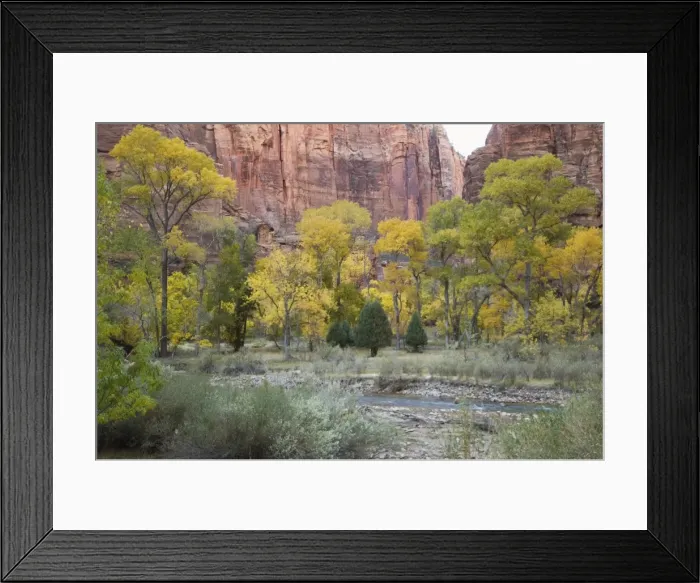 Framed Print : _TUW7183. Zion National Park, Utah, United States of America, North America Framed Print : _TUW7183. Zion National Park, Utah, United States of America, North America
