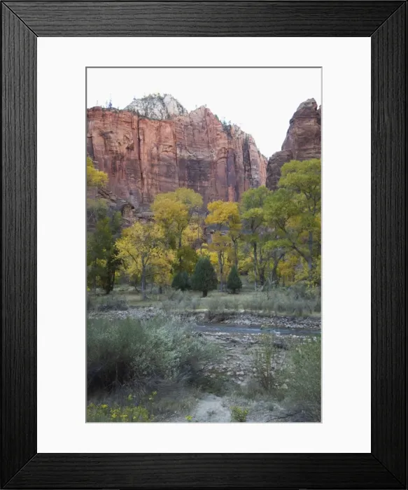 Framed Print : _TUW7182. Zion National Park, Utah, United States of America, North America Framed Print : _TUW7182. Zion National Park, Utah, United States of America, North America