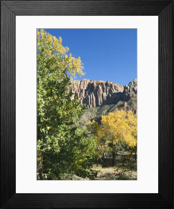 Framed Print : _TUW7106. Landscape near Zion National Park, Utah, United States of America, North America Framed Print : _TUW7106. Landscape near Zion National Park, Utah, United States of America, North America