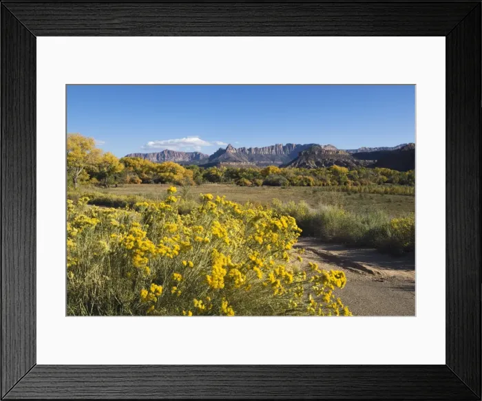 Framed Print : _TUW7071. Landscape near Zion National Park, Utah, United States of America, North America Framed Print : _TUW7071. Landscape near Zion National Park, Utah, United States of America, North America