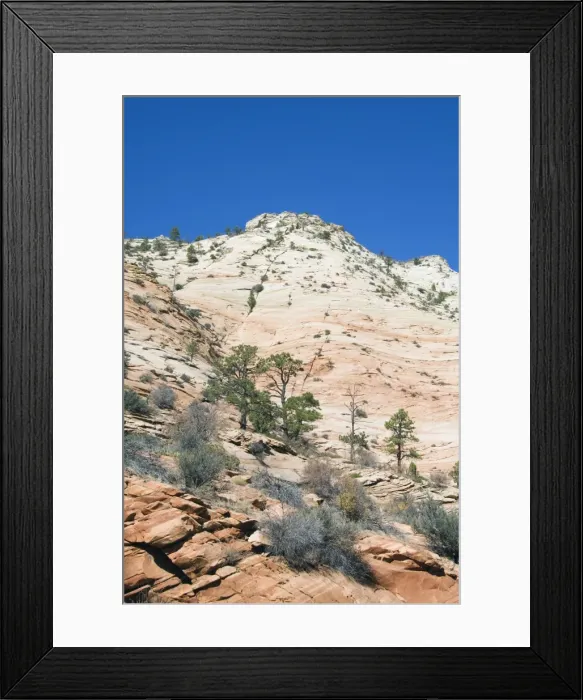 Framed Print : _LEF4874. Zion National Park, Utah, United States of America, North America Framed Print : _LEF4874. Zion National Park, Utah, United States of America, North America