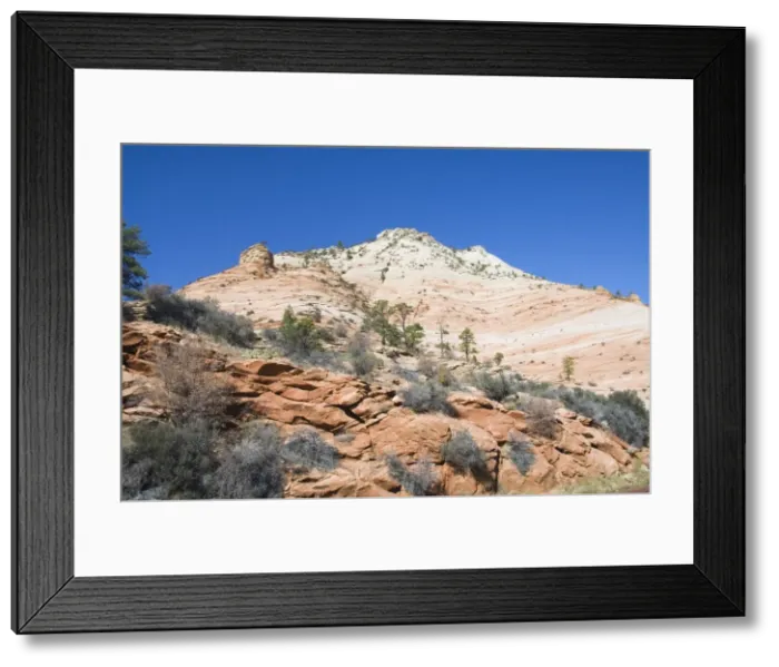 Framed Print : _LEF4873. Zion National Park, Utah, United States of America, North America Framed Print : _LEF4873. Zion National Park, Utah, United States of America, North America