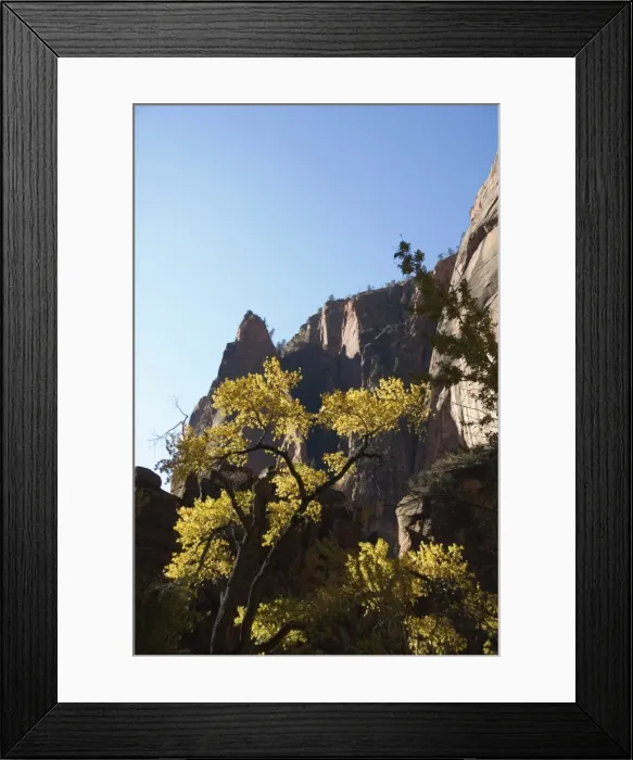 Framed Print : _LEF4858. Zion National Park, Utah, United States of America, North America Framed Print : _LEF4858. Zion National Park, Utah, United States of America, North America