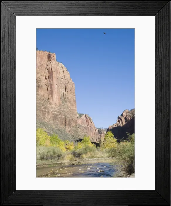 Framed Print : _LEF4854. Zion National Park, Utah, United States of America, North America Framed Print : _LEF4854. Zion National Park, Utah, United States of America, North America