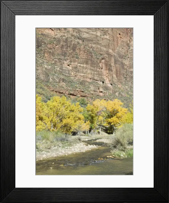 Framed Print : _LEF4853. Zion National Park, Utah, United States of America, North America Framed Print : _LEF4853. Zion National Park, Utah, United States of America, North America
