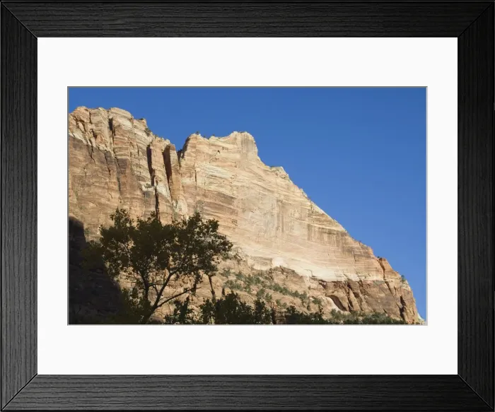Framed Print : _LEF4809. Zion National Park, Utah, United States of America, North America Framed Print : _LEF4809. Zion National Park, Utah, United States of America, North America