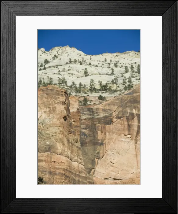 Framed Print : _LEF4803. Zion National Park, Utah, United States of America, North America Framed Print : _LEF4803. Zion National Park, Utah, United States of America, North America