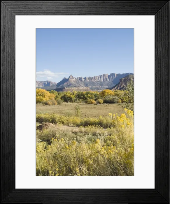 Framed Print : _LEF4776. Landscape near Zion National Park, Utah, United States of America, North America Framed Print : _LEF4776. Landscape near Zion National Park, Utah, United States of America, North America