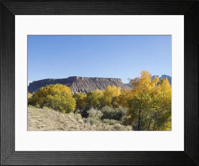 Framed Print : _LEF4762. Landscape near Zion National Park, Utah, United States of America, North America Framed Print : _LEF4762. Landscape near Zion National Park, Utah, United States of America, North America