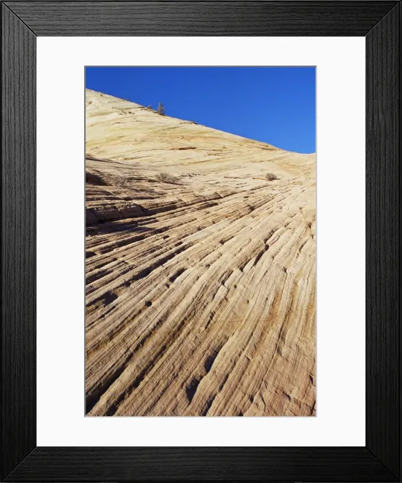 Framed Print : Slickrock, Zion National Park Framed Print : Slickrock, Zion National Park
