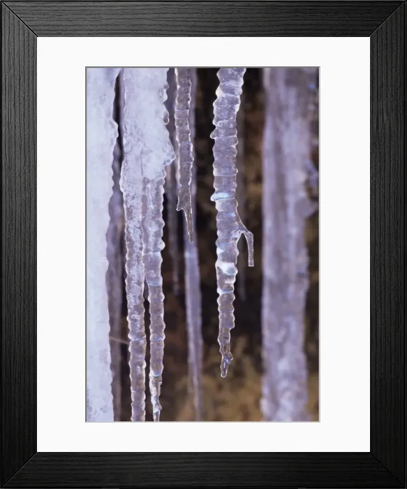 Framed Print : Icicles, Zion National Park Framed Print : Icicles, Zion National Park