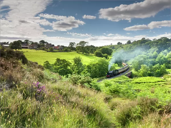 A steam locomotive at Darnholme on the North Yorkshire Railway line travelling