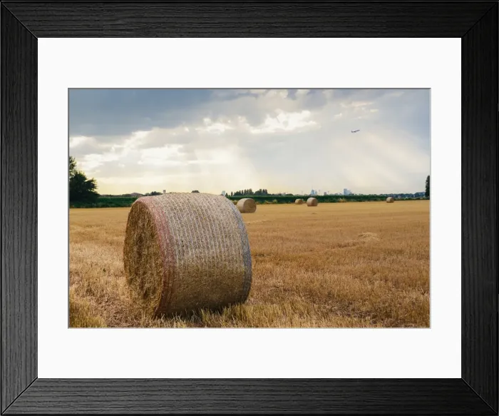 Framed Print : Bundles of hay, with dramatic rays of light, on the outskirts of Milan, Lombardy Framed Print : Bundles of hay, with dramatic rays of light, on the outskirts of Milan, Lombardy