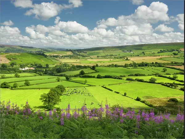 Castleton village, The North Yorkshire Moors National Park, Yorkshire, England, United Kingdom