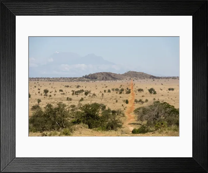 Framed Print : A view of the Lion Rock in Lualenyi Game Reserve, Tsavo, Kenya, East Africa, Africa Framed Print : A view of the Lion Rock in Lualenyi Game Reserve, Tsavo, Kenya, East Africa, Africa
