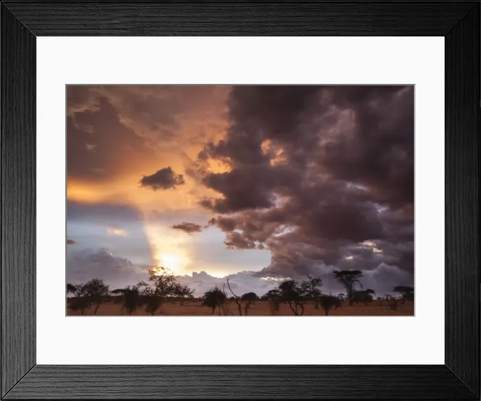 Framed Print : Clouds approach the savannah at the beginning of the rainy season, Tsavo, Kenya, East Africa Framed Print : Clouds approach the savannah at the beginning of the rainy season, Tsavo, Kenya, East Africa