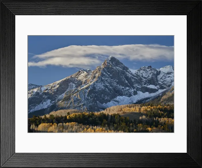Framed Print : Wolcott Mountain in the fall with yellow and bare aspen, Uncompahgre National Forest Framed Print : Wolcott Mountain in the fall with yellow and bare aspen, Uncompahgre National Forest