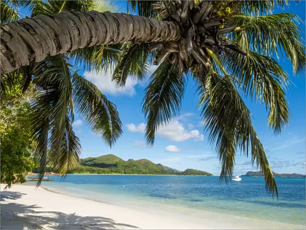 Anse Government beach, Praslin, Republic of Seychelles, Indian Ocean, Africa