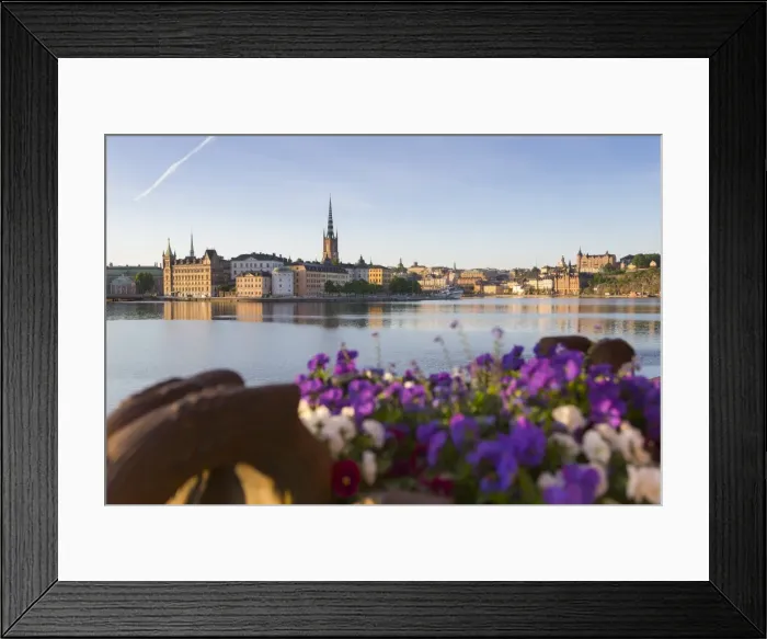 Framed Print : View of Riddarholmen and Sodermalm at dawn from near Town Hall, Stockholm, Sweden Framed Print : View of Riddarholmen and Sodermalm at dawn from near Town Hall, Stockholm, Sweden