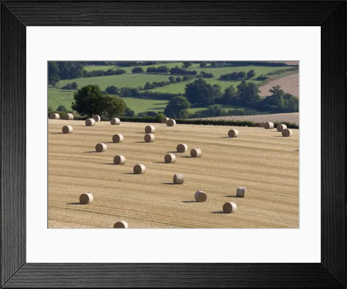 Framed Print : Round hay bales and Cotswold farmland at Wadfield farm, Winchcombe, Cotswolds, Gloucestershire Framed Print : Round hay bales and Cotswold farmland at Wadfield farm, Winchcombe, Cotswolds, Gloucestershire