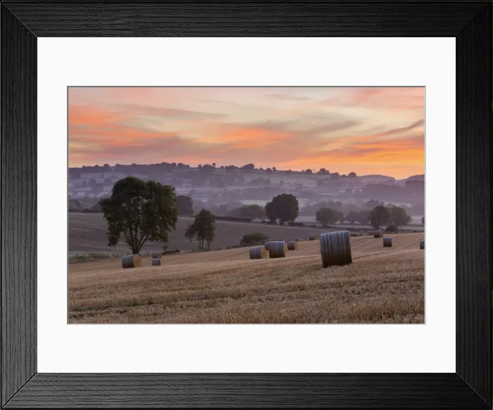 Framed Print : Round hay bales in stubble field at dawn, Chipping Campden, Cotswolds, Gloucestershire Framed Print : Round hay bales in stubble field at dawn, Chipping Campden, Cotswolds, Gloucestershire