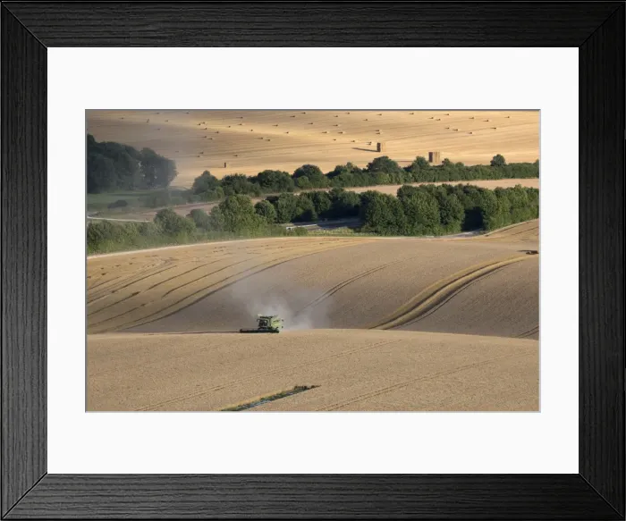 Framed Print : Harvesting wheat with combine harvester, near Winchester, Hampshire, England, United Kingdom Framed Print : Harvesting wheat with combine harvester, near Winchester, Hampshire, England, United Kingdom