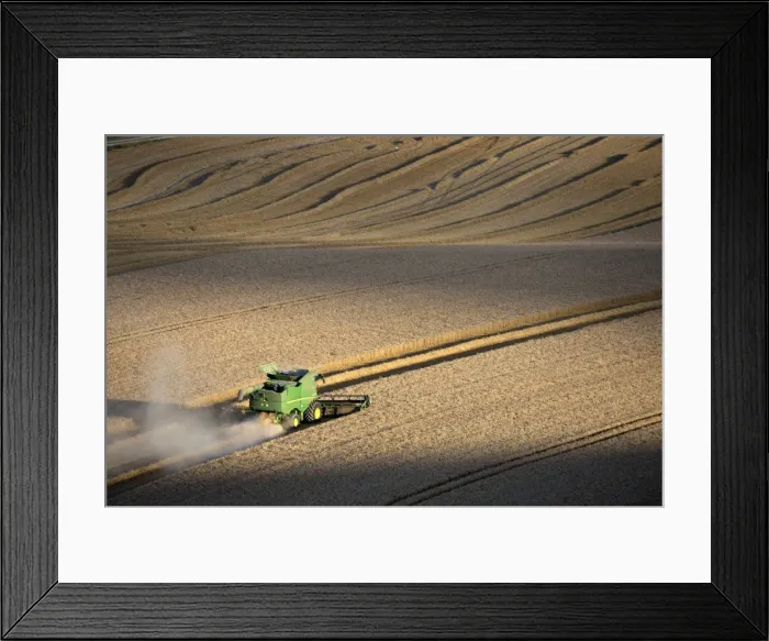Framed Print : Harvesting wheat with combine harvester, near Winchester, Hampshire, England, United Kingdom Framed Print : Harvesting wheat with combine harvester, near Winchester, Hampshire, England, United Kingdom