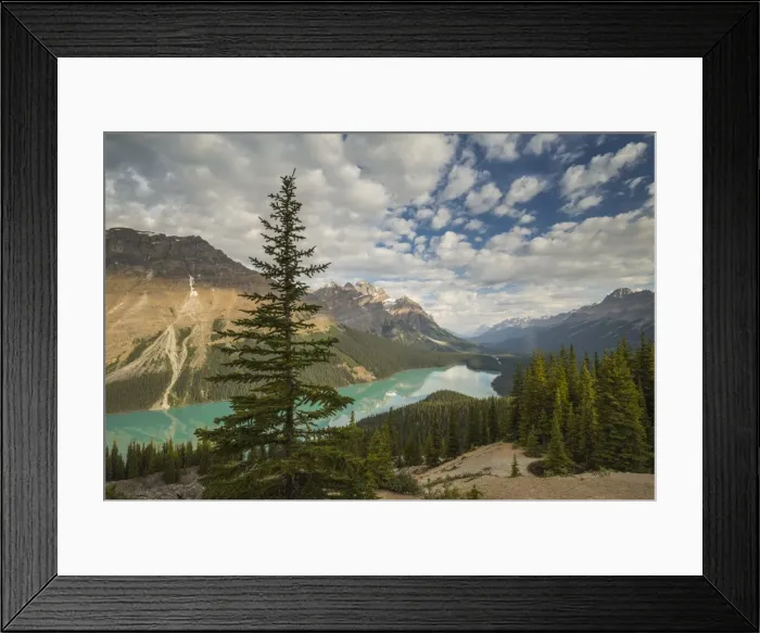 Framed Print : Wide view of Peyto Lake, Banff National Park, UNESCO World Heritage Site, Alberta Framed Print : Wide view of Peyto Lake, Banff National Park, UNESCO World Heritage Site, Alberta