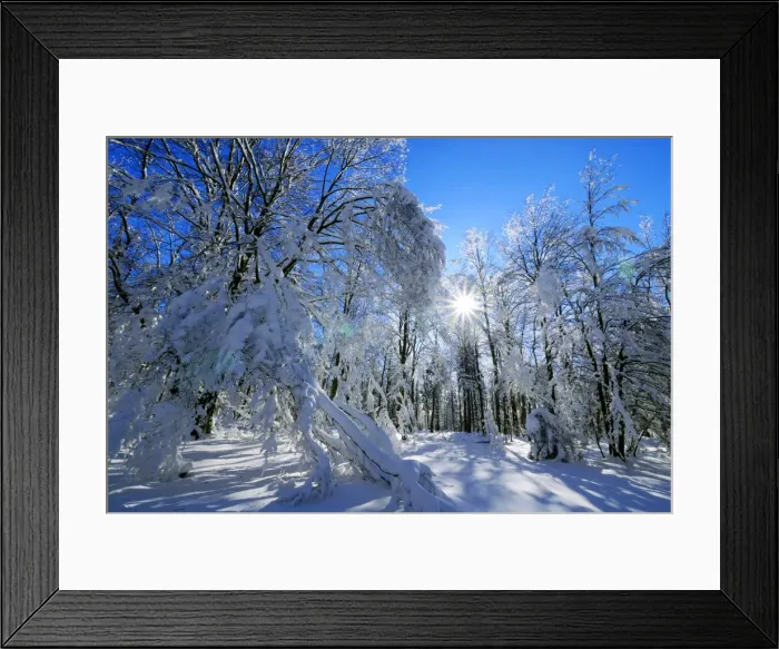 Framed Print : Forest in winter, Erbeskopf Mountain, 816m, Saar-Hunsrueck Nature Park, Rhineland-Palatinate Framed Print : Forest in winter, Erbeskopf Mountain, 816m, Saar-Hunsrueck Nature Park, Rhineland-Palatinate